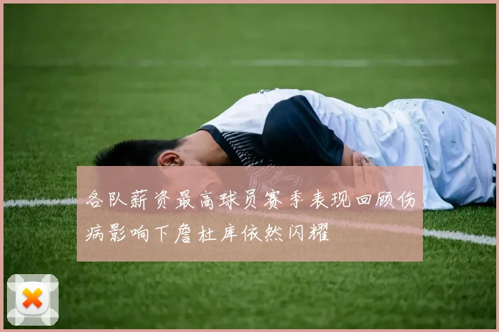 各队薪资最高球员赛季表现回顾伤病影响下詹杜库依然闪耀