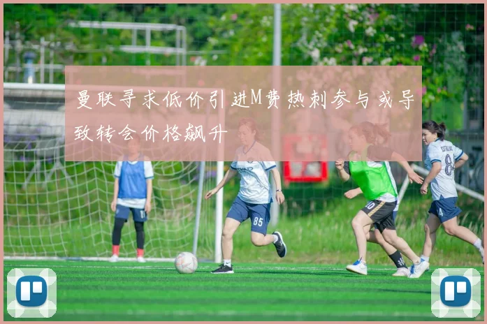 曼联寻求低价引进M费热刺参与或导致转会价格飙升