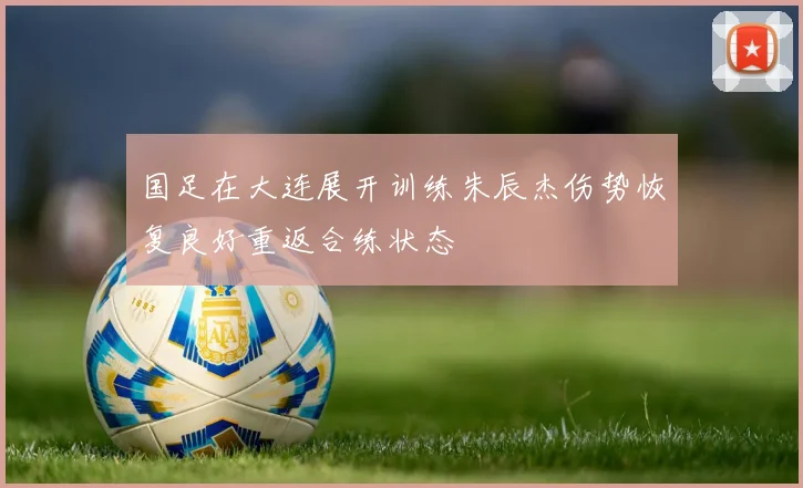 国足在大连展开训练朱辰杰伤势恢复良好重返合练状态